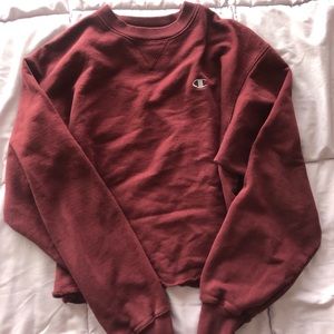 Cropped Champion Hoodie